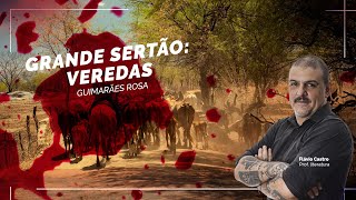 Grande sertão veredas Obras Literárias Unimontes [upl. by Lihcox743]