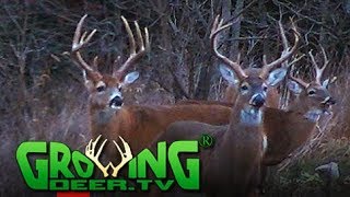 Deer Hunting  Big Buck Big Story 425 [upl. by Guevara]