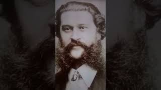 Johann Strauss lls Blue Danube Waltz [upl. by Oalsecnew]