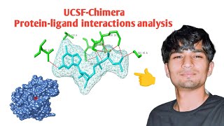 UCSF Chimera Proteinligand interactions analysis [upl. by Ferrigno]