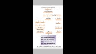 Know CDSCOGOV PART 2 NEW DRUG APPROVAL PROCESS [upl. by Gardy997]