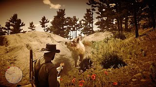 RDR2  Never Equip Sawed Off Shotgun [upl. by Ahtivak]