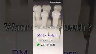 wax carvings bds dentalstudents shorts maxillary Central incisor carving  paid work [upl. by Maiocco]