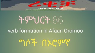 Lesson 85verb formation in Afaan Oromoo [upl. by Dawkins]