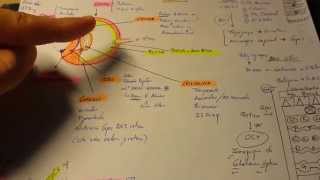 Tema 0 Repaso ESQUEMA anatomia del ojo [upl. by Imerej]