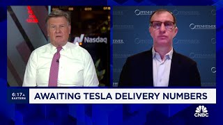 The key for Tesla is how well it can embrace the AI potential of the platform says Colin Rusch [upl. by Jefferey]