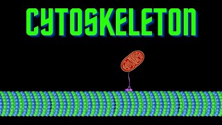 USMLE Step 1  Lesson 20  Elements of the Cytoskeleton [upl. by Kalasky]