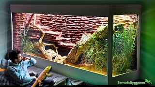 🌿I GOT A MASSIVE ENCLOSURE FOR MY BEARDED DRAGON  TERRAQUAMAN [upl. by Elleirda]