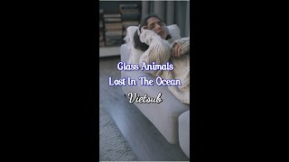 Glass Animals  Lost In The Ocean Vietsub [upl. by Sheets980]