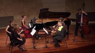 Piano Concerto in G major Op 58 by LV Beethoven chamber version [upl. by Cristionna]