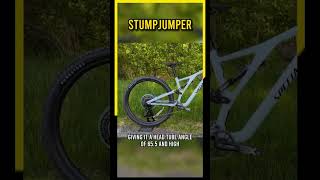 2023 Specialized Stumpjumper Alloy An Impressive Trail Bike Upgrade [upl. by Clementi757]