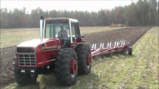 International Harvester 3588 22 Plowing [upl. by Sheree801]