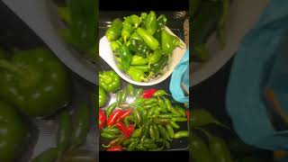 Sweet Pepper Harvest  Sweet Bell Jalapeno more garden peppers shorts fyp [upl. by Chlo]