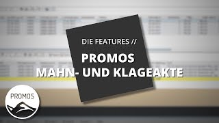 PROMOS Mahn und Klageakte [upl. by Diane]