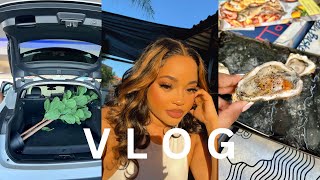 VLOG COME RUN SOME ERRANDS WITH ME  CLOTHING HAUL  LUNCH DATES  MORE  MANDISA MPOTSANG [upl. by Littlejohn920]