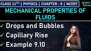 Class 11th Physics  Drops and Bubbles  Capillary Rise  Example 910  Chapter 9  NCERT [upl. by Narrad792]