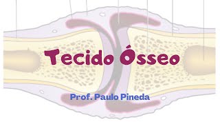 Histologia  Tecido Ósseo [upl. by Willmert]