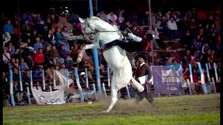 34º Fiesta Nacional del Puestero  Junín de los Andes [upl. by Ahsiekar]