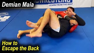 How to Escape from the Back with Demian Maia [upl. by Esom]