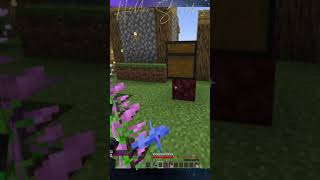 Song Kill Mace  warning Head phone users  thereisasong11 on Twitch shorts minecraft [upl. by Wernsman]