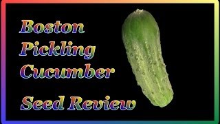 Seed Review Boston Pickling Cucumber  Helping Gardeners Plan their Garden [upl. by Dyoll]