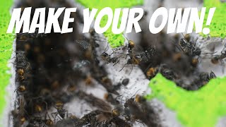 How To Make An Ant Nest Using YTONG [upl. by Datha]