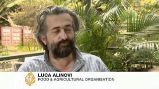 Lack of investment worsens food crisis [upl. by Alilahk]