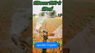 sprinkler irrigation system installation। sprinkler irrigation agriculture [upl. by Eiuqram]