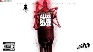 ROYAL TS SIDO amp BTIGHT OPFERMX NR 2  ALLES IST DIE SEKTE  ALBUM  TRACK 05 [upl. by Asiilanna]