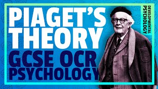 PIAGETS THEORY OF COGNITIVE DEVELOPMENT  Developmental Psychology OCR GCSE [upl. by Nnep125]