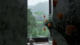 그리움 위로 piano pianomusic 전수연 ㅡ 화풍병 [upl. by Kelcy]