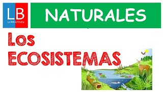 Los ECOSISTEMAS para niños ✔👩‍🏫 PRIMARIA [upl. by Hiro]