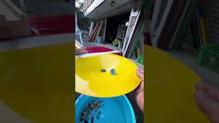 Rolling marbles in a yellow plate truckmarblerun [upl. by Ziwot]