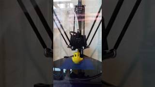 First Print on a mini delta 3d printer [upl. by Ddet596]