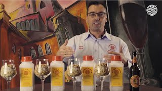 Inside Weyermann® – Rotbier mit Carared® und Weyermann® Melanoidinmalz [upl. by Mccurdy]