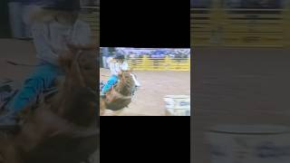 Barrel Racing  cowboy horse shorts barrelhorse barrelracer barrelracing fypviral fyp nfr [upl. by Eal915]