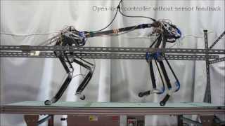 Pneupard A biomimetic quadruped robot [upl. by Livvie]