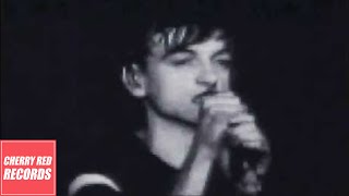 The Fall  Totally Wired Live in New York June 1981 [upl. by Tersina600]