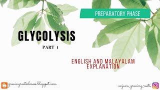 GLYCOLYSIS  Malayalam  Cellular Respiration  Preparatory Phase Or Energy Investment Phase [upl. by Zosima]