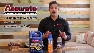 Are DIY Termite Sprays Safe [upl. by Yhpos]