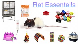 Rat Essentials [upl. by Leveroni283]