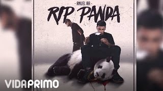 Anuel AA  RIP Panda ft Arcangel Official Audio [upl. by Awahsoj]