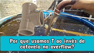 Por que usamos um T ao invés de uma curva no overflow para criação de peixe em caixa dágua [upl. by Hsemar774]