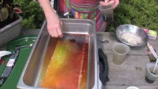 Casserole Dye Video with Sandra L Brown [upl. by Byron988]