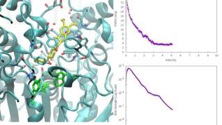 Binding event between Donepezil and Acetylcholinesterase [upl. by Manon]