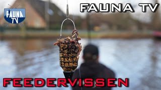 Fauna TV  Feedervissen [upl. by Adihsaar]