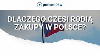 Dlaczego Czesi robią zakupy w Polsce Sytuacja gospodarcza i polityczna w Czechach [upl. by Rannug447]