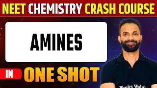 AMINES in 1 Shot  Pure English  Everything Covered  NEET Crash Course [upl. by Rand]