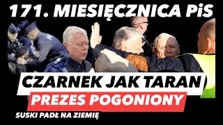 171 MIESIĘCZNICA SMOLEŃSKA – CZARNEK JAK TARAN❗SUSKI SIEDZI I KACZYŃSKI WYGNANY A WĄSIK WYŚMIANY [upl. by Cohe]