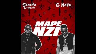 MAPENZI Ft G Nako  Official Music Lyrics [upl. by Ado486]